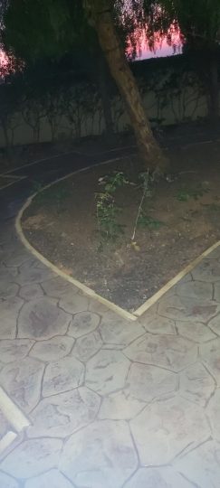 1669992918017